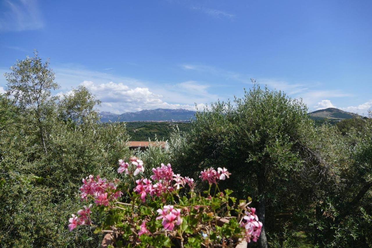 Hotel La Vignaredda - Residenza Di Charme Aggius Exterior foto