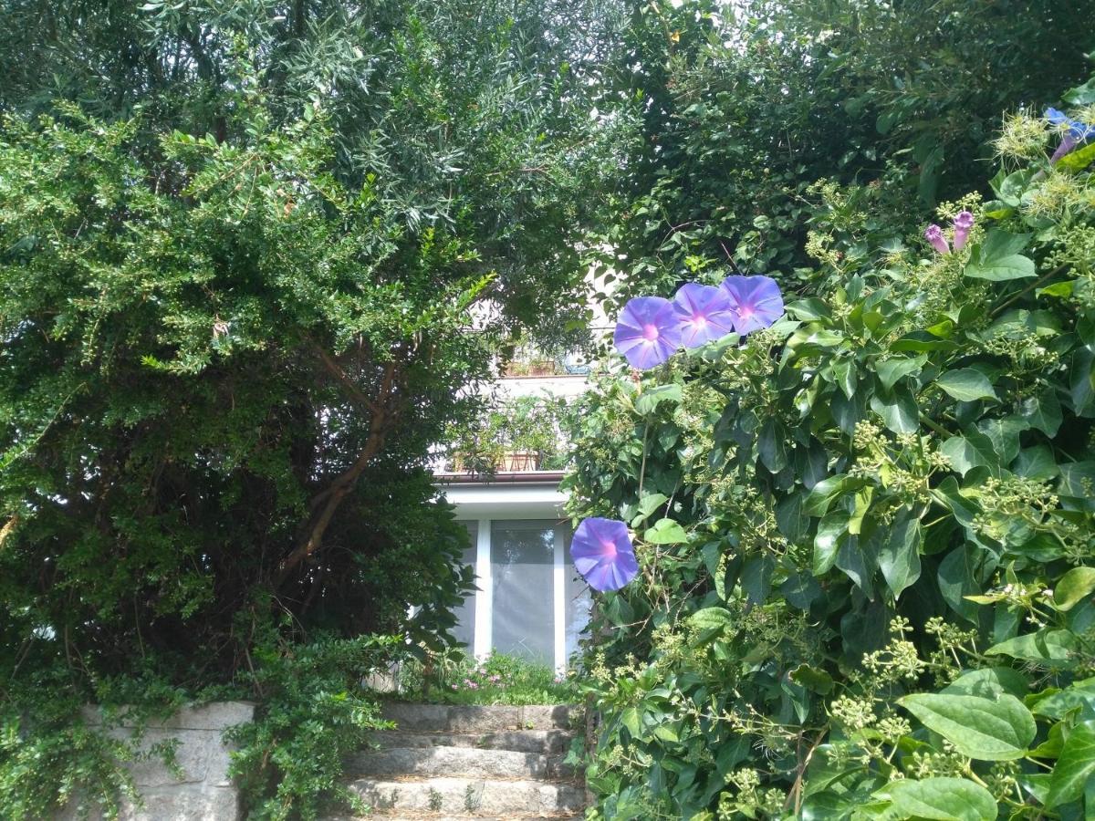 Hotel La Vignaredda - Residenza Di Charme Aggius Exterior foto